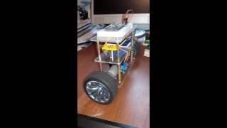 Two Wheel Self Balancing Robot #Tronic_Lankan