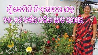 ମୁଁ କେମିତି ନିଏ ଛତର ଯତ୍ନ ||୨୫-୨୬ ବର୍ଷର ବଗିଚା ଛାତ ଉପରେ || Terrace garden || Odia