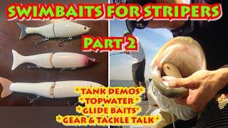 TOPWATER Action Catch HUGE STRIPERS! (Tank Demos & Gear Talk)