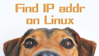 Find IP address on Linux (Netwoking commands) - Linux for Beginners