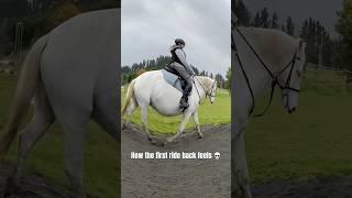 How the first ride back feels  #rider #riding #horse #equestrian