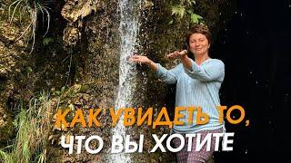 Как увидеть то, что вы хотите | Елена Ачкасова