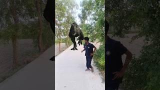 Big Dinosaur chase T-Rex attack part 193 #trending #dinosaur #vfx #youtube #shorts