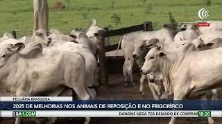 2025 será ano de melhorias nos animais de reposição e no frigorífico, afirma especialista