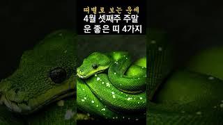 4월셋째주 주말 운좋은띠4가지 4월 18일, 19일, 20일 운 좋은 띠 Top 4! 띠별로 보는 주말운세!  #띠별운세