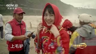 《我的美丽乡村》 20200928 多彩的黄河人家|CCTV农业