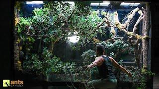 Stopping an Ant Invasion in My Giant Rainforest Vivarium