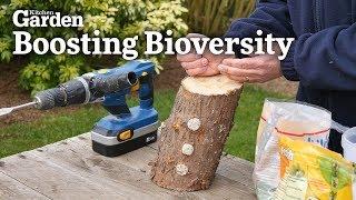 How to Maximise Biodiversity in Your Garden!