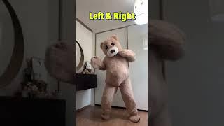 곰의 좌우
