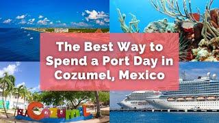 What to do in Cozumel | Port Day Recommendations | Snorkel | El Cielo | Food & Drink | Where to Eat