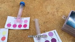 蛋蛋的锦鲤日志：鱼池的几个重要理化指标：氨氮、亚硝酸盐