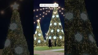 대구에서 가장 큰 크리스마스 축제앞산 겨울정원️️