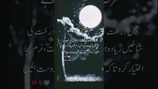 Islamic words #best #mrbest #youtubeshorts