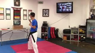 Online training available for all ages and all levels at Champions Karate Dojo