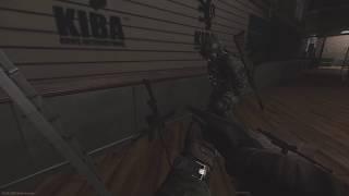 Kiba Gunstore in EFT