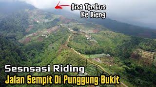 Luarbiasa Jalan Diatas Bukit Di Kaki Gunung Prau Desa Genting Gunung