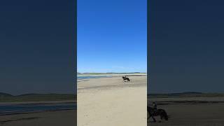 17.05.2025 Pollan Strand, Ireland