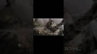 야 무섭게 왜그래에 #고영희
