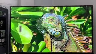 Обзор на смарт телевизор 35’’ Plus TV QN900