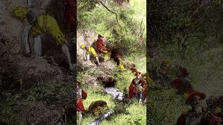 The Myth of Ponce de Leon's Search for the Fountain of Youth #historicaltidbits