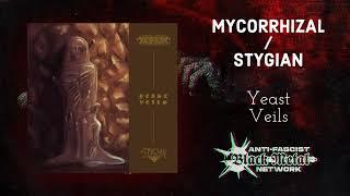 'Yeast Veils' by Mycorrhizal / Stygian (Full split, Premiere, 2024) | Experimental BM, sludge