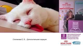 Екатерина Степанова - Догоспитальная седация