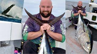 A dream come true! - Huge Southern Bluefin Tuna 