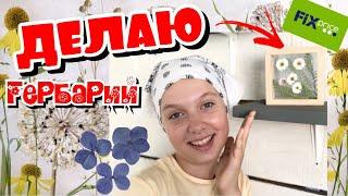 Гербарий в рамке / НОВИНКА из Фикс Прайса
