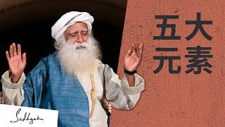 瑜伽练习本质上都是净化五大元素｜Sadhguru 萨古鲁