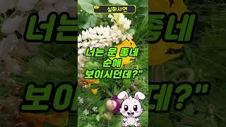 며느리가 저를 시골 촌부인 취급했는데 상상도 못한 일이... #인생사연 #시어머니 #며느리 #노후지혜