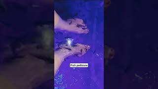 fish pedicure#theglowzone8