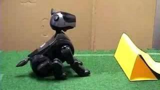 Combining Configural and TD Learning on a Robot: XOR Demo