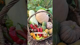 Let’s #harvest from the #garden!  #farming #abundance