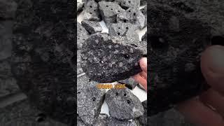 Sustainability of Nature Climbing's Real Rock Holds