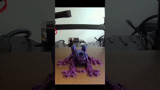 Terrific Articulated Tree Frog 3D Print Time Lapse #3dprinting  #timelapse #3dprinter #creality