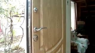 Входные металлические двери в дом какие лучше