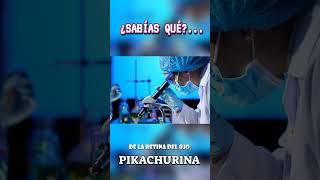 ¿LA PIKACHURINA LA TENEMOS EN EL CUERPO HUMANO? #shorts