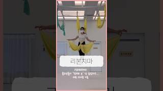 플라잉요가 - 여우꼬리1 / 리본치마