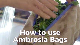 How to Use Ambrosia Bags