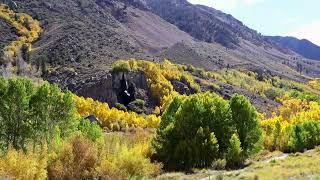 Bishop California Sierra fall colors