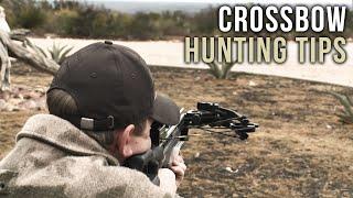 First Time Crossbow Hunting Tips