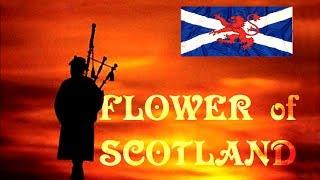 ️FLOWER OF SCOTLAND ️ROYAL SCOTS DRAGOON GUARDS️