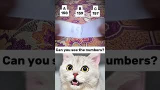 Guess the Correct Digit – Fast Quiz #funny #memes #cat