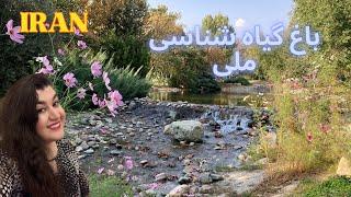 Walking tour in National Botanical Garden of Iran٫Tehran city 2024