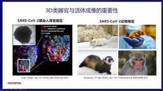 3D 类器官与活体动态深层成像解决方案   丁香播咖