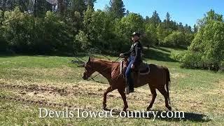 Peggy Garman, Devils Tower Country Brand Ambassador