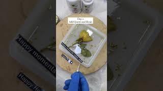 How to make Resin Flower Frame | Resin Flower Frame tutorial | Resin for beginners #resinframe