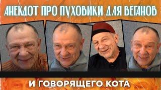 Анекдот про пуховики для веганов и говорящего кота