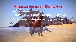 Мировые боссы Tera Online. Часть 2: Аракия, Баррак, Трунус, Солракнус, Теркасия, Дулагорас.