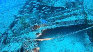 Spearfishing the wrecks Andro and Tortuga in Miami 2024
